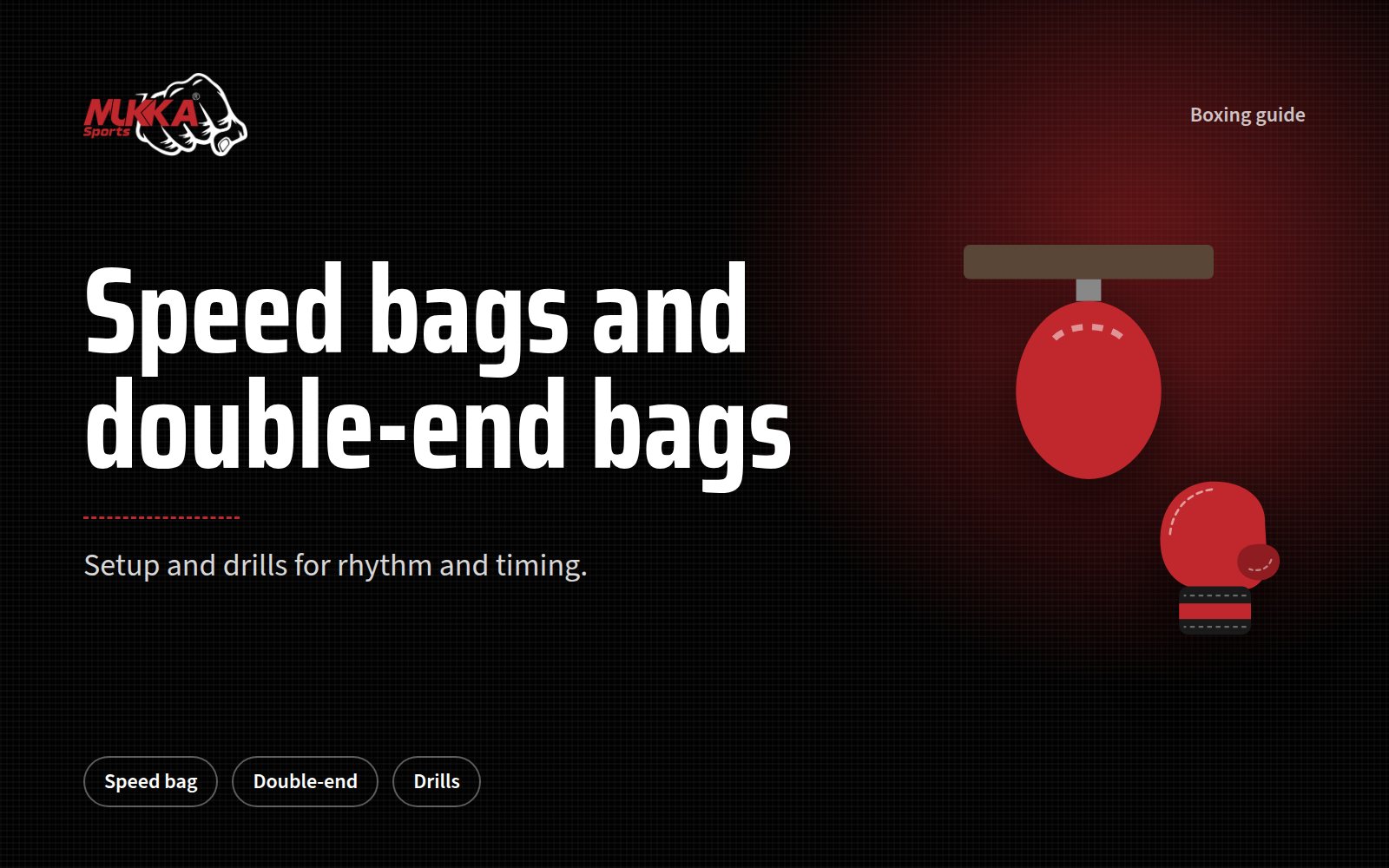 Speed Bags and Double-End Bags: Setup and Training Guide